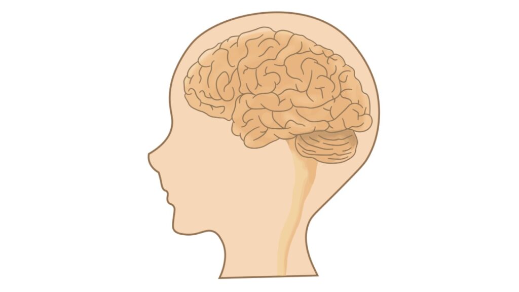 【医師監修】『認知症と軽度認知障害（MCI）』予防のエッセンス〜「もの忘れ」も含めて解説〜